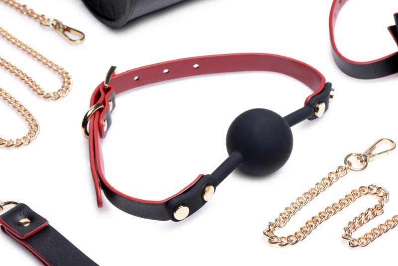 SO8796 Набор для BDSM Master Series Bow - Luxury BDSM Set With Travel Bag