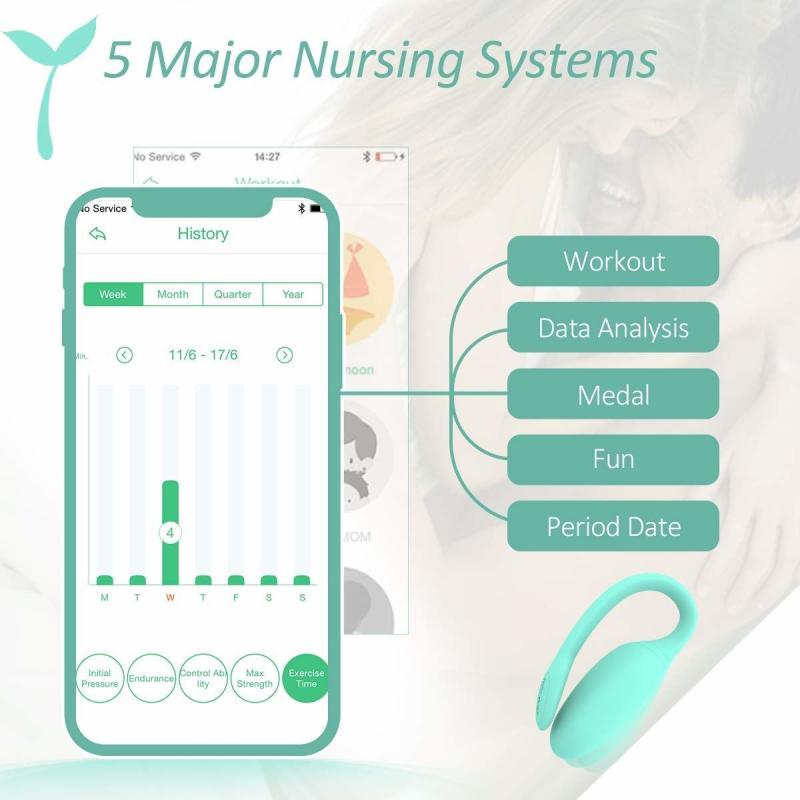 SO3114 Смарт-тренажер Кегеля Magic Motion Kegel Rejuve, бюджетный вариант, для тренировок и удовольствия