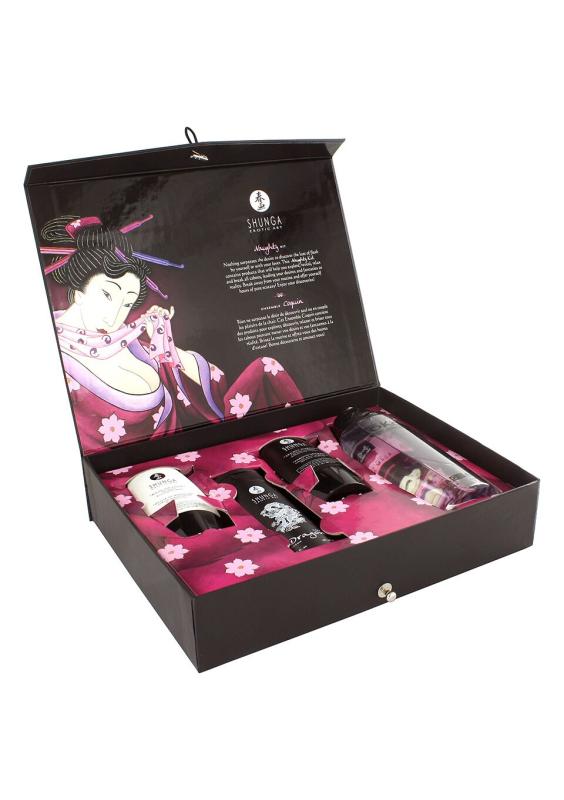 SO6896 Подарунковий набір Shunga NAUGHTY Cosmetic Kit: змазка та стимулювальні засоби для нього та для неї