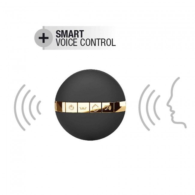 SO3077 Виброяйцо Dorcel Secret Delight Gold с пультом ДУ, с турборежимом и голосовым управлением